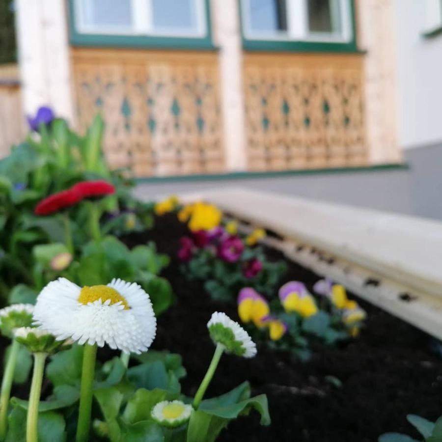 Ferienwohnungen Kalss Nahe Altaussee Bad Aussee Exteriör bild