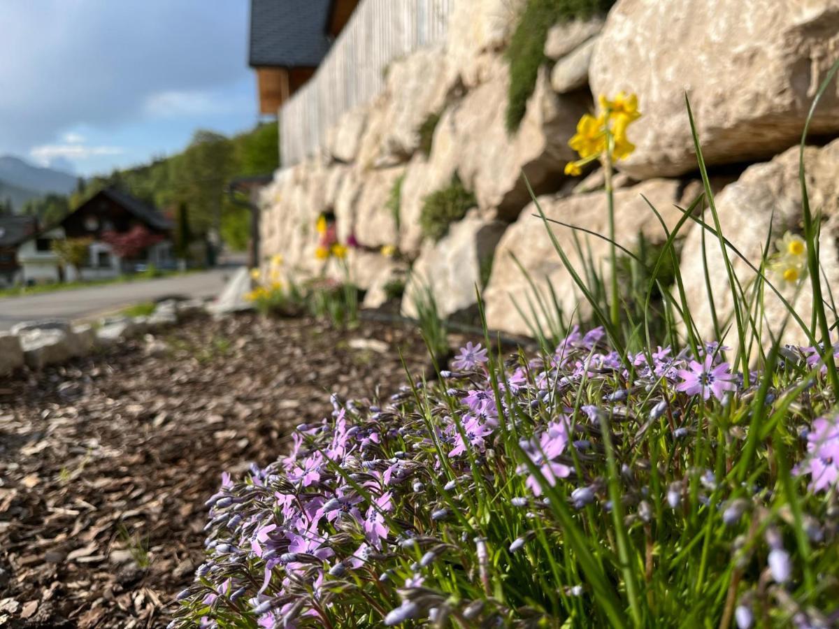 Ferienwohnungen Kalss Nahe Altaussee Bad Aussee Exteriör bild
