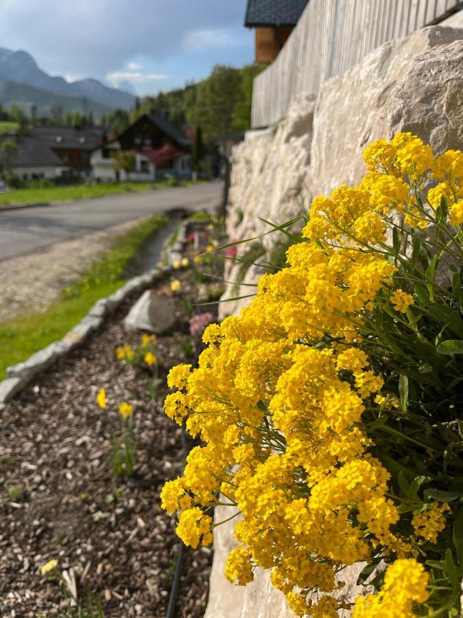 Ferienwohnungen Kalss Nahe Altaussee Bad Aussee Exteriör bild