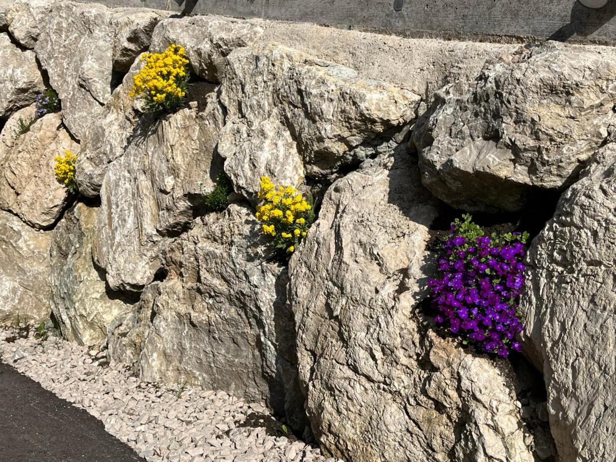 Ferienwohnungen Kalss Nahe Altaussee Bad Aussee Exteriör bild